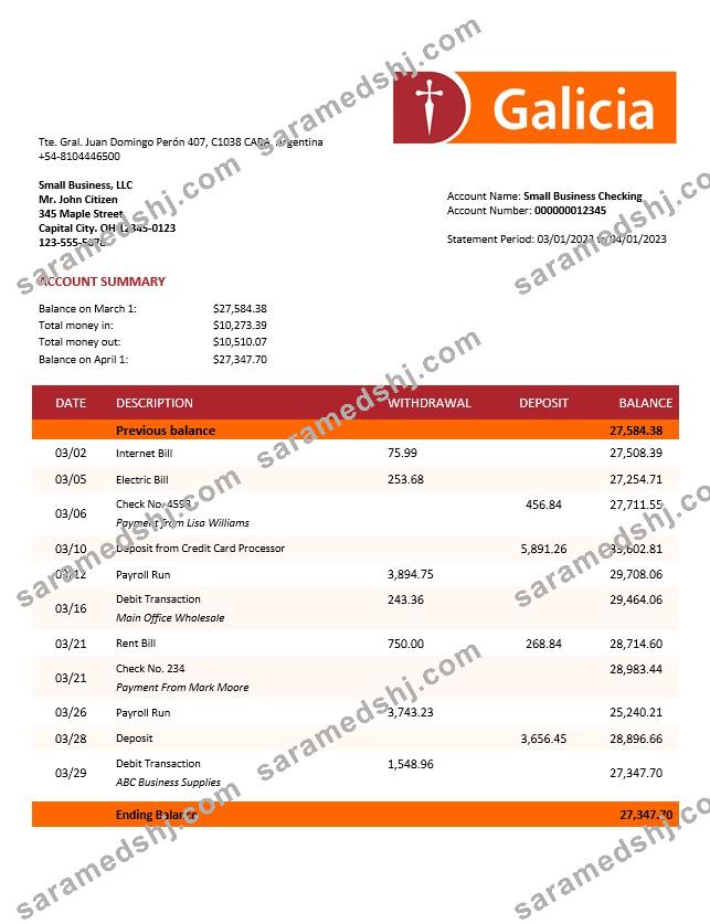 Banco Galicia company account statement Word and PDF template